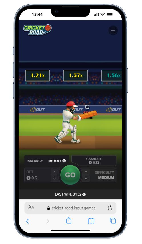 playing Cricket Road Online